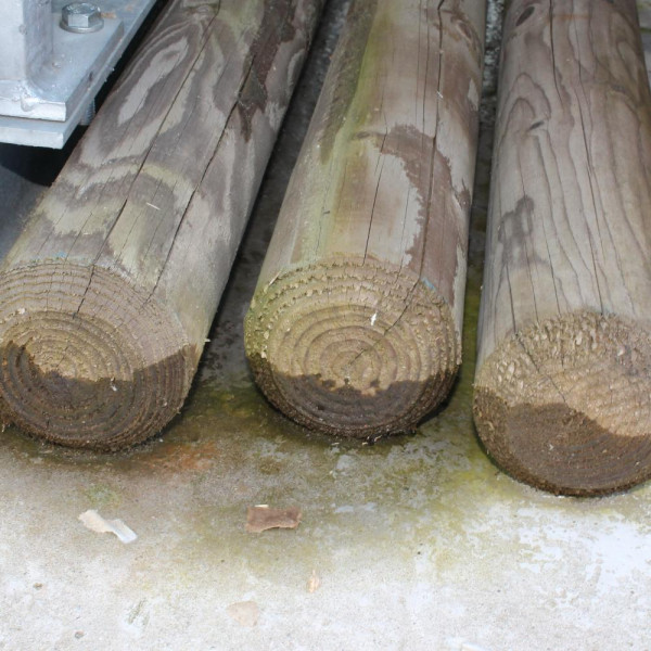 Holzpfahl 100/120 x 2000 mm